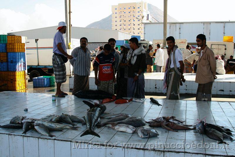 IMG_3499 mercato pesce, Al-Mukalla.jpg